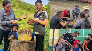 Harvest the largest beehives to get honey to sell process and preserve honey for medicine [upl. by Cheria341]