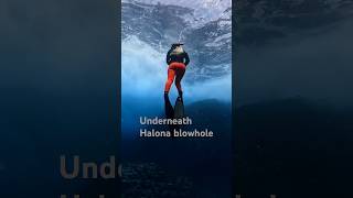 Halona Blowhole dive site shorts blowhole hawaii freediving turtle trending cockroachcove [upl. by Adnorhs175]