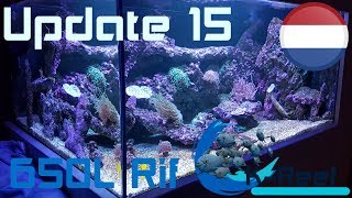 NLUpdate15 650liter zoutwater aquariumrifaquarium zeewater aquarium [upl. by Ahsilat497]