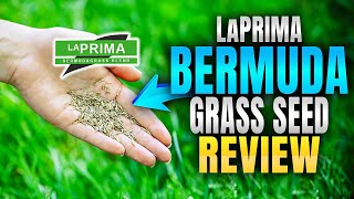 LaPrima Bermuda Grass Seed Review Hancock Farm amp Seed Company [upl. by Anirak]