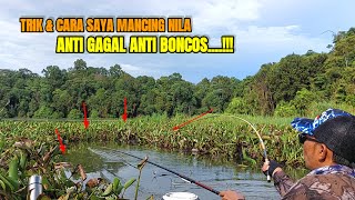 CARA YANG SERING SAYA LAKUKAN mancing nila umpan jitu [upl. by Hally]