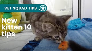 New kitten 10 things you NEED to know  PET CIRCLE [upl. by Elwira383]