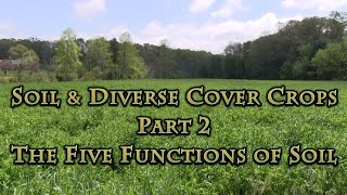 Soil amp Diverse Cover Crops Part 2 The Five Functions of Soil [upl. by Gautious]