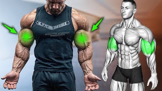 5 Fastest Biceps Exercises for Bigger Arms [upl. by Asirram]