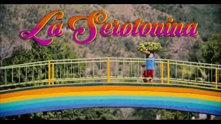 Manel  La Serotonina Videoclip Oficial [upl. by Gayner951]