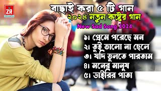 ২০২৪ সালের বাছাই করা ৫ টি গান Luna Moni bachai kora koster gan Bangla new Sad song Tiktok Viral [upl. by Lednew]