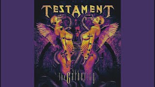 Testament  DNR B Tuning  Remaster [upl. by Drazze]