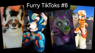 Furry TikTok Compilation 8 [upl. by Aivle]