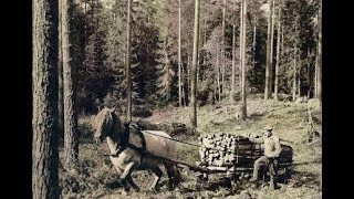 Hjul i skogen 1951 [upl. by Wurst]