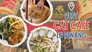 Best Cat Cafe and Food in Penang  Penang Food Vlog 2024 [upl. by Airbas]