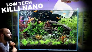 Nano Tank Tutorial LOW TECH Killifish Aquascape [upl. by Garate]