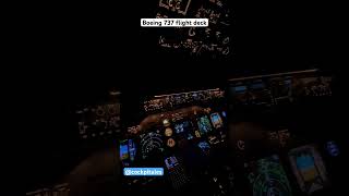 Stunning Night Cockpit View at 35000 Feet  A Pilot’s Perspective 🌌 boeing 737 shorts night [upl. by Nyvlem580]