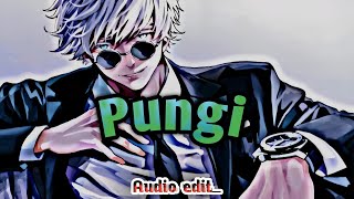 pungi song pyar ki pungi  ᴇᴅɪᴛ ᴀᴜᴅɪᴏ  𝚟𝚒𝚗𝚘𝚍 𝗦𝗹𝗼𝘄𝗲𝗱 𝗿𝗲𝘃𝗲𝗿𝗯 [upl. by Sabba]