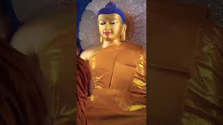 Tathagata gautam buddh youtubeshorts song duet short [upl. by Sueddaht]