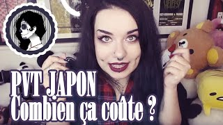 PVT AU JAPON  COMBIEN CA MA COUTE [upl. by Tana]