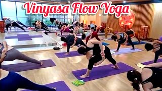 1 Hrs Morning Power Vinyasa Flow Yoga Secession 2024 morningyoga poweryoga [upl. by Eelitan]