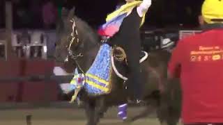 Yegua de Paso Fino Yumalay de Potrero Chico es la gran campeona Aruba 2015 [upl. by Enitsyrhc]