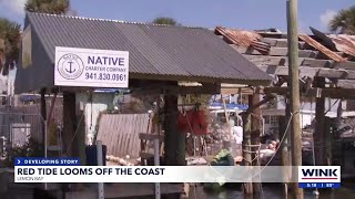 Monitoring Red Tide in Charlotte County [upl. by Gagne]