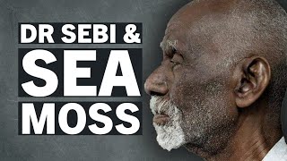 Sea Moss amp Dr Sebi  Whats That About [upl. by Doris821]