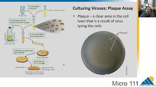 MICRO 111 Ch123 Virus Replication and Culture [upl. by Judson]