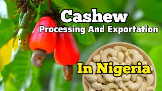 CASHEW 4U  THIS IS A CASHEW PROCESSING INDUSTRY IN NIGERIA [upl. by Aikram467]