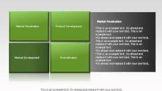 Ansoff Growth Matrix [upl. by Nilahs]