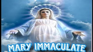 MARY Immaculate  Marian Hymn  Reuben Mary [upl. by Emanuel276]