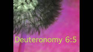 Deuteronomy 65  Bible Memory Verse Song for Kids [upl. by Deyas737]