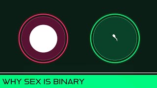 Why Sex Is Binary [upl. by Rehpotsirhcnhoj]