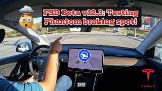 FSD Beta v123 Testing Old Phantom braking spot [upl. by Haleeuqa]