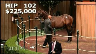 Paynter  Hip 102 [upl. by Siana]