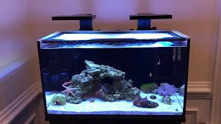 Equipment I’m running on my IM Nuvo Fusion 20 Nano Reef Tank [upl. by Naerol927]