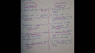 NADH Vs NADPH neet coenzymes [upl. by Naliorf]