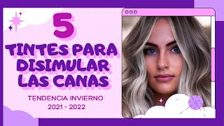 ★5 TINTES EN TENDENCIA PARA INVIERNO🍂 CON LOS QUE PODRÁS DISIMULAR LAS CANAS Y LUCIR ESPECTACULAR★ [upl. by Nannaihr]