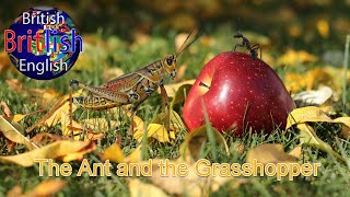 Learn English  Aesop Fables – The Ant and Grasshopper [upl. by Lathan]