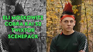 Eli Moskowitz  Hawk Cobra Kai Season 2 4K Twixtor🔥🐐 [upl. by Suzie]