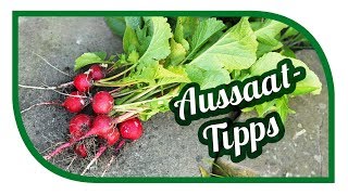 Gartentipps und Aussaattipps im August 🌱 Garten im August 🌱 Gartentipps [upl. by Javed451]