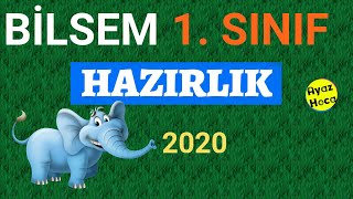 Bilsem 1 Sınıf  Soru Çözümü  Genel Yetenek  8 [upl. by Zebada]