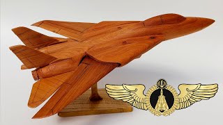 F14 Tomcat but its wooden [upl. by Samoht4]