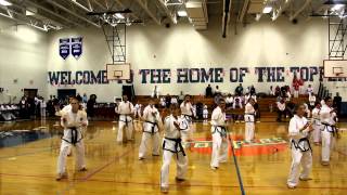 ALL ITF TAEKWONDO PATTERNS COMBINED [upl. by Kane]