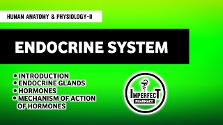 Endocrine System  Anatomy amp Physiology  Mechanism Of Action Of Hormones  B Pharma 2nd Semester [upl. by Qirat]