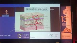 How Lymph Cells Gain Access to Brain [upl. by Port]