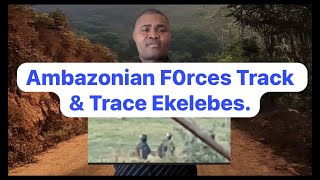 Ambazonian F0rces Track amp Trace Ekelebes [upl. by Annavoj387]