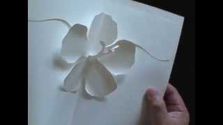 SCRAPBOOKING HIBISCUS Kirigami Popup Card [upl. by Spiegelman]