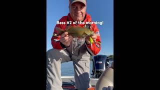 Kanawha River Smallmouth on a 3XD during our club tournament yesterday 9824 [upl. by Siloam]