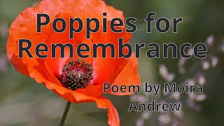 Poppies for Remembrance  Poem by Moira Andrew  Mind Niggles [upl. by Celine]