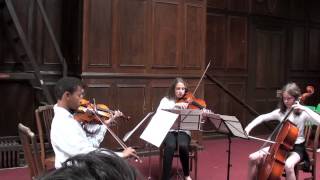 Rondo in G by Mozart  String Quartet  first violin Johann Schymanski [upl. by Nagram989]