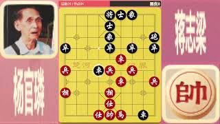 Master of Xiangqi Duong Quan Lan 212  chinese chess vs japanese chess [upl. by Suirred663]