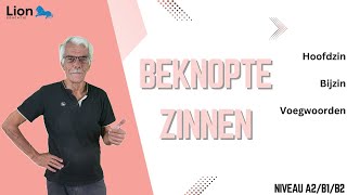 Wat is een beknopte zin  niveau A2B1B2 [upl. by Terti]