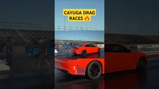 drag racing highlights cayuga race track [upl. by Ecarg]